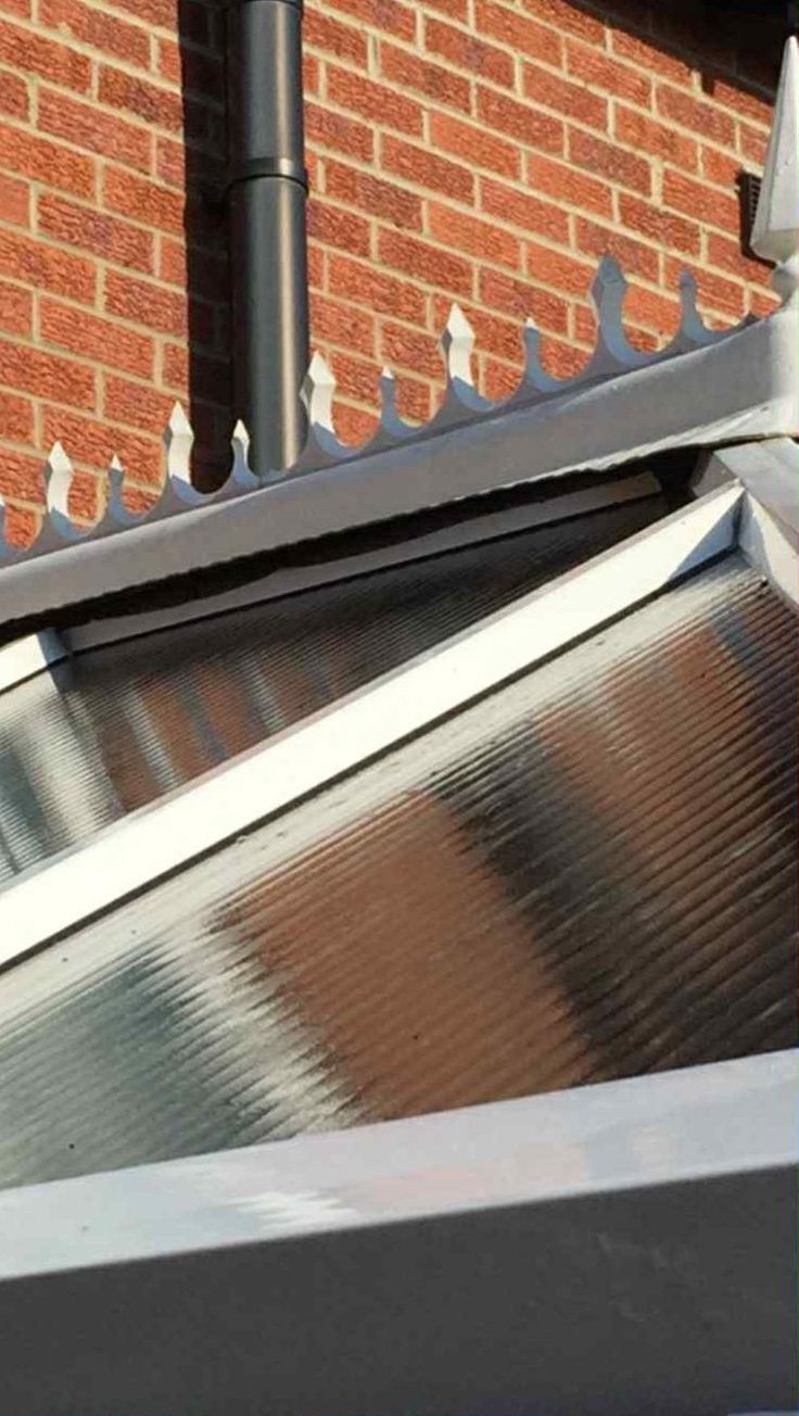 PHOTO 2025 06 04 21 52 54 1 e1749470481227