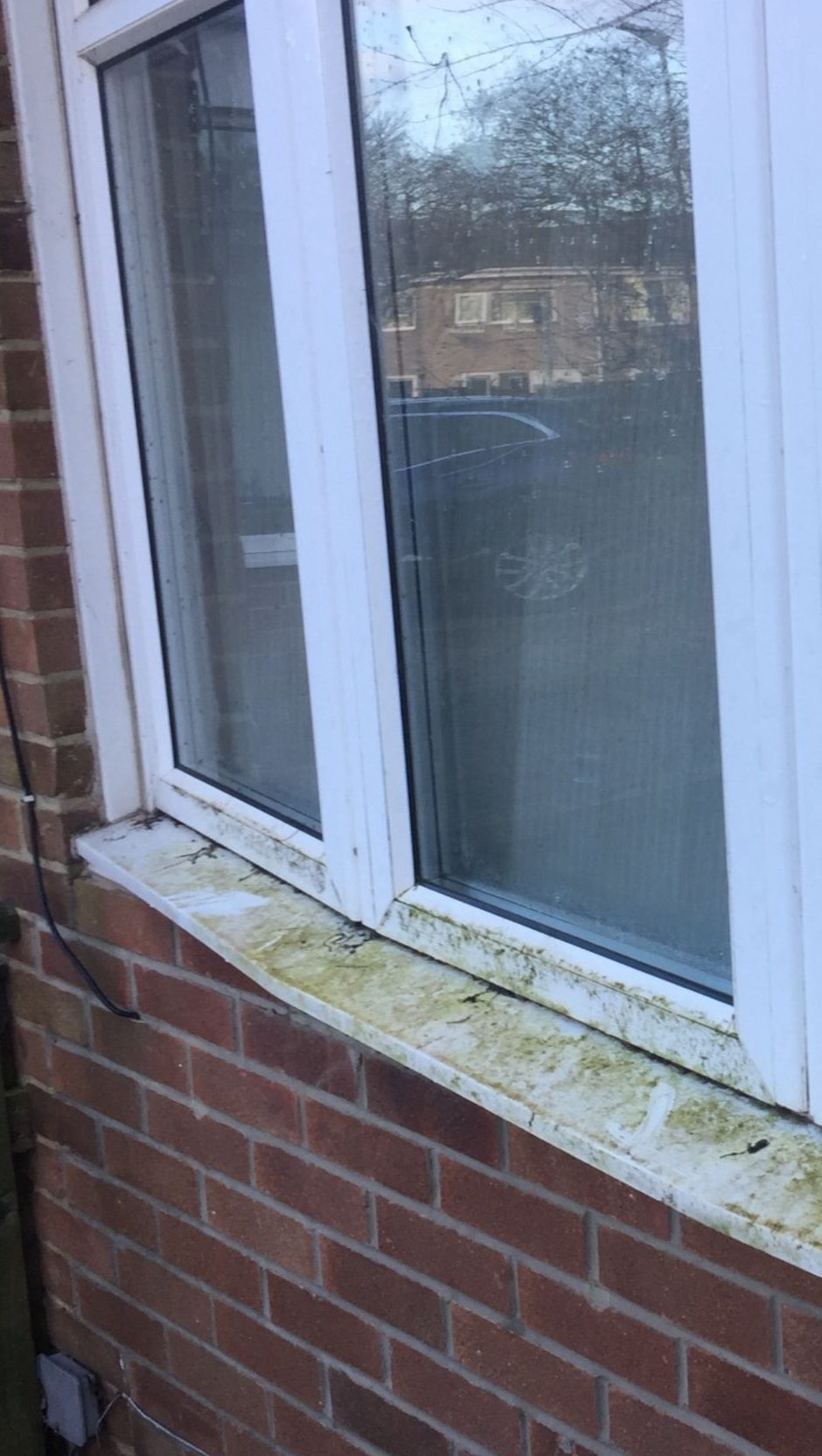 PHOTO 2025 06 04 21 56 02 e1749470374988