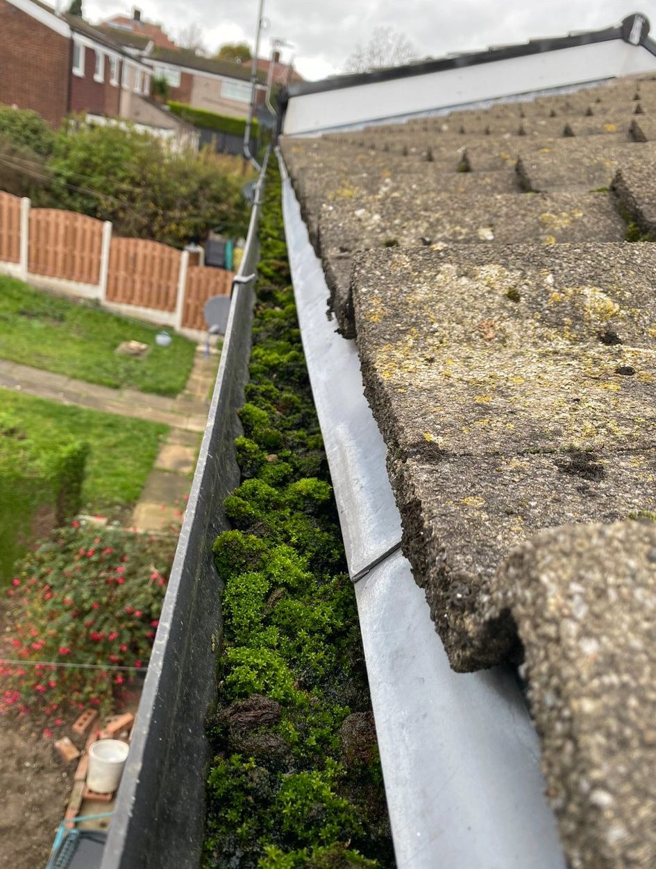 PHOTO 2025 06 04 22 08 01 e1749470543751